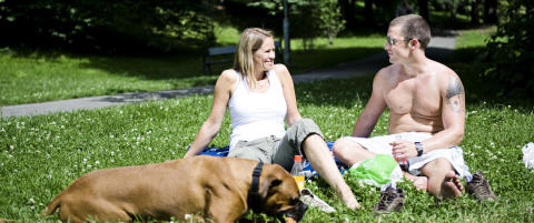 Nordmenn p� hudkreft-toppen