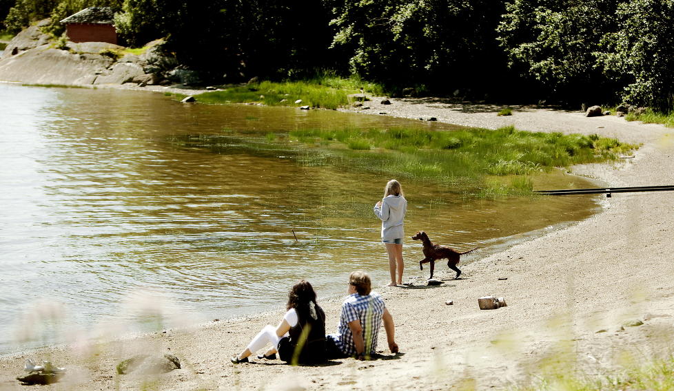 FORTVILET: � bearbeide en voldtekt tar tid, spesielt n�r man opplever � ikke bli trodd, sier familien. De st�tter hverandre s� godt de kan, og g�r ofte tur med hunden Fia i nabolaget i Namsos. - Dette �ret burde vi brukt p� � hjelpe dattera v�r etter voldtekten. I stedet har vi brukt all energi p� � bekjempe l�gner og usannheter. Vi vil bare leve et vanlig liv, sier faren (47). Foto: Espen R�st / Dagbladet