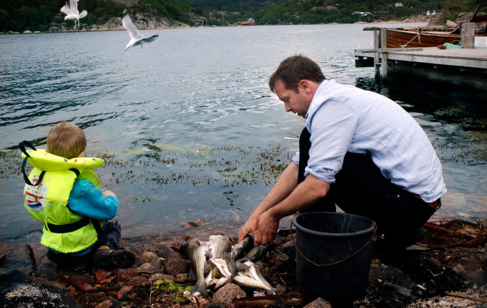 Et godt tegn: M�keflokken varsler fiskelykke. Foto: Mette Randem.