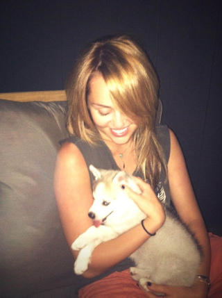 H�YT ELSKET: Valpen Floyd bader og ser �Breaking Bad� med Miley Cyrus. Foto: STELLA PICTURES