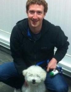 Mark Zuckerberg kastrerer beistet