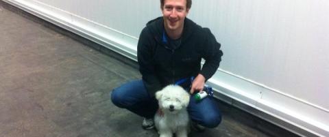 Mark Zuckerberg kastrerer beistet