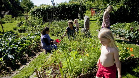 �kre: Marianne Leisner viser Zeynap Alizada, Alio, Kristine og Ylva Steen hvordan man kan bruke gress som gj�dsel.