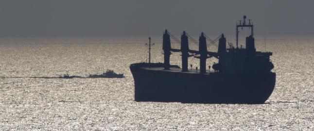 Femten Gaza-aktivister utvises fra Israel