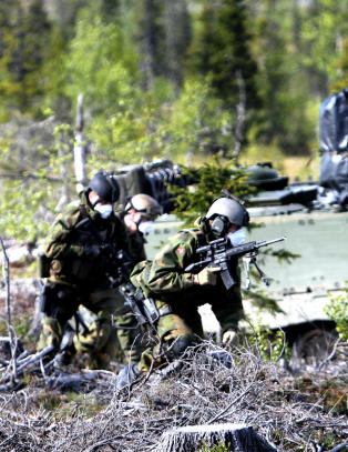 - Mobbing er utbredt i Forsvaret