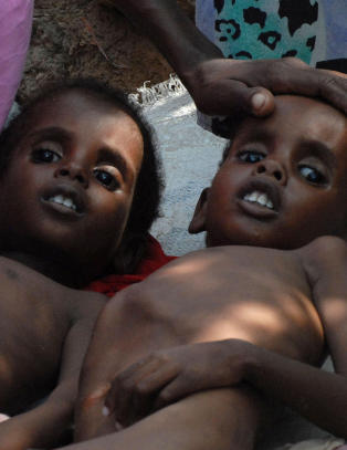 F�rste hungersn�d i Afrika siden 1984