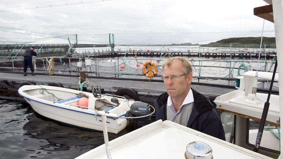 TYPISK AUSTEVOLLING: Ole Morten Troland (t.h) har drevet Tronland lakseoppdrett i 31 �r. Med kommunen p� laget fikk han utvidet bedriften i 2009 med en ny laksekonsesjon, som betydde 50 prosent i �kt omsetning, og 2 nye �rsverk. Han har planer om � utvide enda mer, og s�ker n� om � f� bygge et visningssenter p� et av anleggene, for � generere flere arbeidsplasser og turisme. I bakgrunnen er oppdrettsanlegget Stille, her har han 430 000 laks. Foto: Tor Erik H. Mathiesen