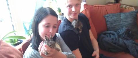 Fant levende hareunger i p�kj�rt hare