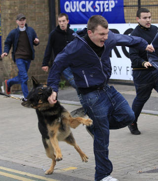 BR�KMAKERE: Her blir en EDL-ekstremist bitt av en hund under en demonstrasjon i Leicester 9. oktober i fjor. Foto: Reuters/Darren Staples/Scanpix