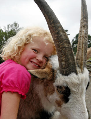 Du blir imponert og andektig i dyrenes og barnas rike