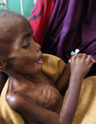 Al-Shabaab tillot hjelp fra R�de Kors