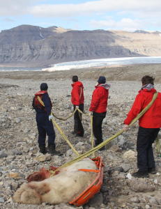 Britisk 17-åring drept etter isbjørnangrep på Svalbard