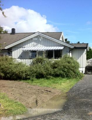 - Var fest i huset hele uka