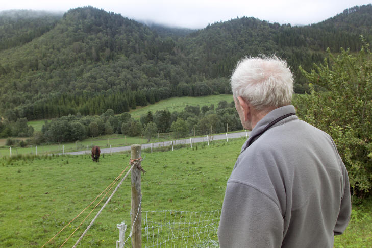 KJ�RT SYN: Det gir litt mer fred i sjela for Asbj�rn � beskue niesens hester og vite at han ikke f�r varige m�n fra voldsepisoden Foto: Erik Hattrem / Dagbladet