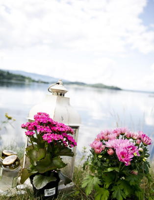 Budbringerens ansvar