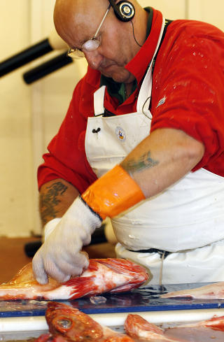 UER: Kevin fra England sl�yer uer p� fiskemottaket, i en fart vi andre bare kan dr�mme om. Foto: OLE C.H. THOMASSEN