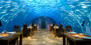 UNDER OVERFLATEN: Slik m� det vel f�les � v�re en havfrue? � FOTO: Conrad Maldives Resort & Spa