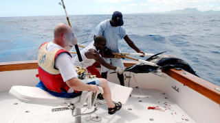 HAVFISKE: Svenske H�kan Elofsson fikk en fisk av typen bl� marlin p� 69,5 kilo p� kroken. Fiskeoppkj�pere tok h�nd om kj�ttet, som havnet p� lokale spisesteder. Foto: EIVIND PEDERSEN