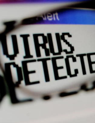 Dataviruset fyller 25 �r