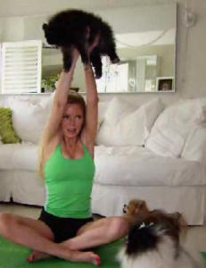 Shannas hunder har hver sin Facebook-side, egen garderobe og trener yoga