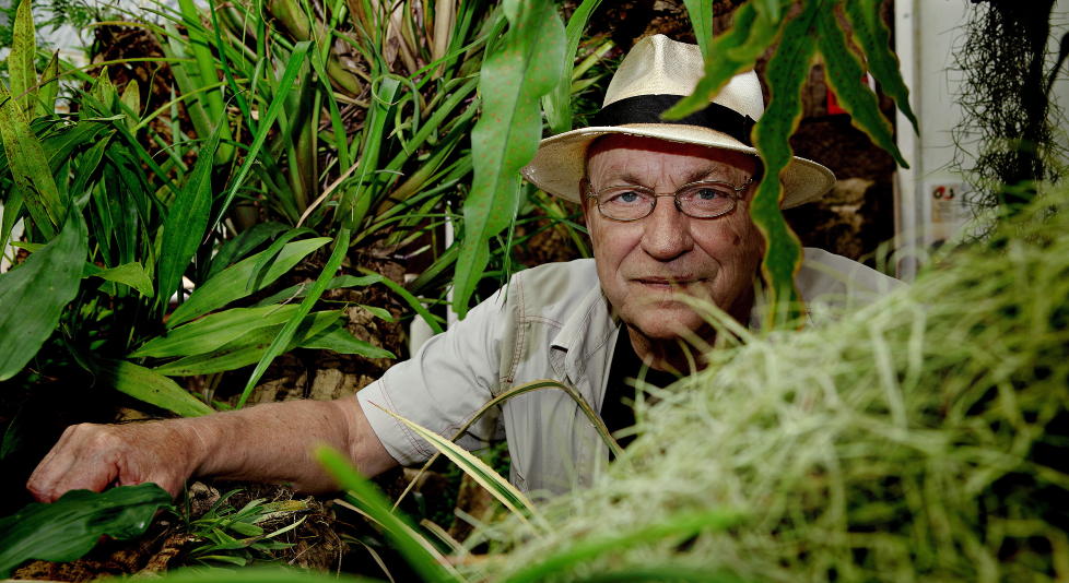 JUNGEL: Gert Nyg�rdshaugs nye �kothriller utspiller seg p� en forskningsstasjon i jungelen. Her gj�res grufulle funn. Bildet er tatt i Botanisk hage i Oslo. Foto: Lars Eivind Bones/Dagbladet