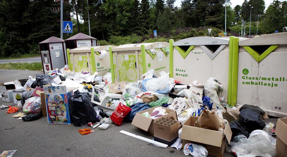 S�PPEL: Det virker som om B�r Stenvik heller mot at det som gj�r oss kvalme er natur, skriver anmelderen, som mener boka er en kulturstudie som tenderer mot � redusere alt til natur. Illustrasjon fra boka.