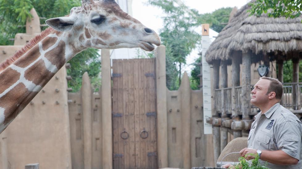 MR. JOVIAL: Kevin James f�r tvilsomme r�d fra sine firbente venner i den hyggelige familiefilmen �Zookeeper�.