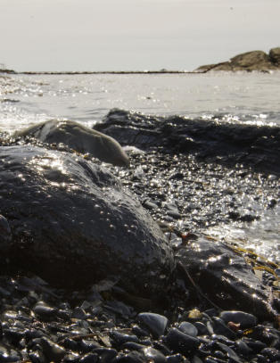 Katastrofeomr�det etter �Full City� er ryddet