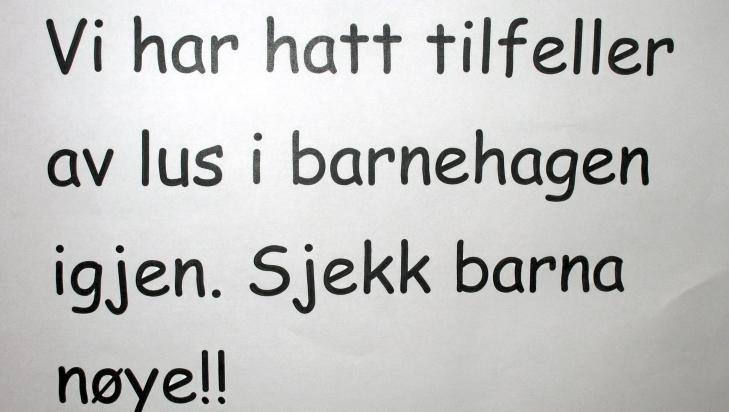 HØYSESONG: Lusa er på vei til skoler og barnehager. Slike plakater henger ofte i barnehagene rundt i landet. Foto: Hege K. Fosser Pedersen HØYSESONG: Lusa er på vei til skoler og barnehager. Slike plakater henger ofte i barnehagene rundt i landet. Foto: Hege K. Fosser Pedersen
