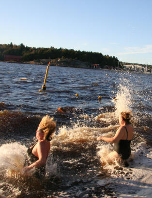 Mer enn bare billig flesk og sprit