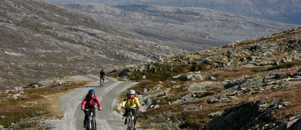 P� TO HJUL: Ta med deg sykkel p� h�stferie. Fjellet har mange fine sykkelturer � by p�, som her langs Aursj�vegen ved Dovre nasjonalpark.
Foto: ODD ROAR LANGE