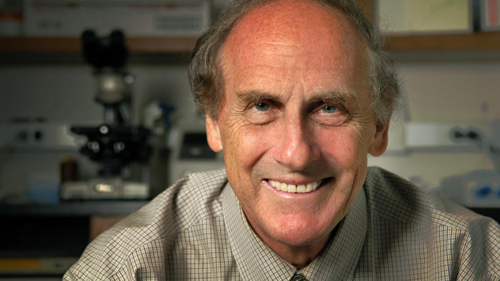 PRISVINNER POST MORTEM: Canadiske Ralph M. Steinman ble i dag tildelt nobelprisen i medisin. Komiteen kunngjorde prisvinnerne mandag, f�r den var blitt informert om d�dsfallet. Foto: AFP PHOTO