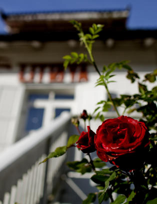 Slik var Ut�ya gjennom linsene til Dagbladets fotografer