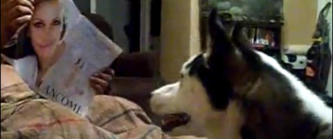 Denne hunden er livredd for Julia Roberts