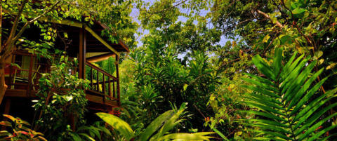 Hit drar Scarlett Johansson p� badeferie med venninnene sine