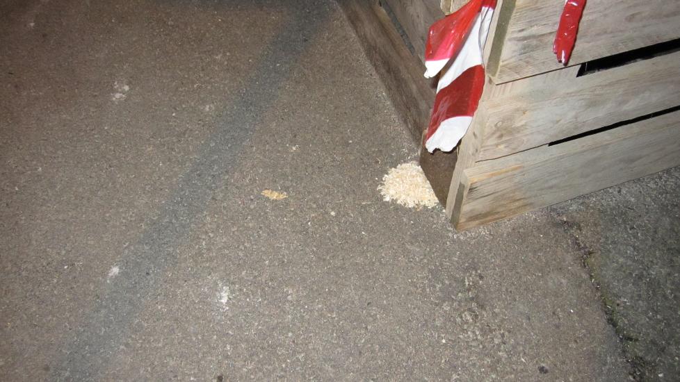 SAGFLISTERROR? Slike sagflishauger skapte frykt blant Oslos hundeeiere. N� viser det seg at sagflisen ikke inneholder gift, men er helt ufarlig. Foto: 2400@db.no