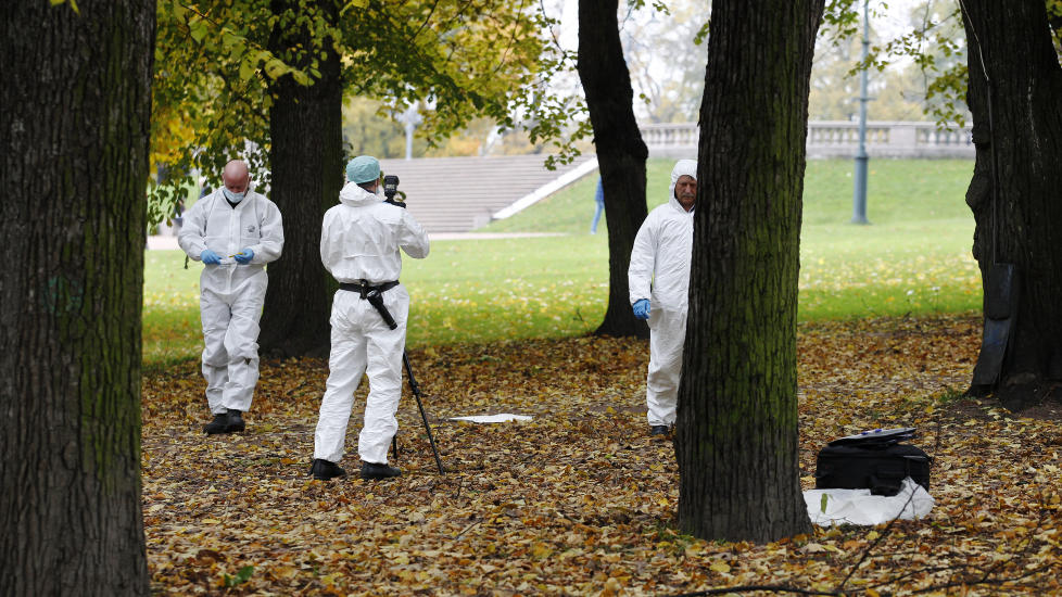 FLERE VOLDTEKTER: Krimteknikere sikret forrige helg spor etter en voldtekt i Slottsparken i Oslo. Foto: Erlend Aas / Scanpix