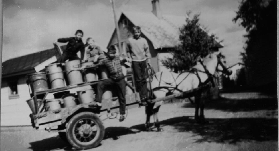 SKYLLER: I �yvind Rimbereids diktsamling m�ter vi en kar som reiser rundt i landsbyen og henter inn skyller. Som ung gutt utf�rte anmelderen av diktsamlingen nettopp denne typen arbeid. Anmelderen er avbildet hengende p� siden av vogna p� dette bildet.