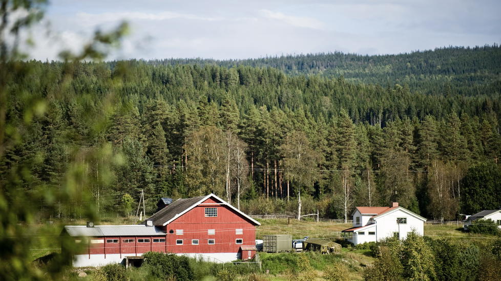 FOBIER: Anders Behring Breivik sier han det var et �edderkopphelvete� p� V�lstua g�rd p� �sta. Han likte ikke stedet. Det bl�ste for mye og husene var gamle, mente han, f�r Dagbladet opplyst. Foto: Benjamin A. Ward/Dagbladet