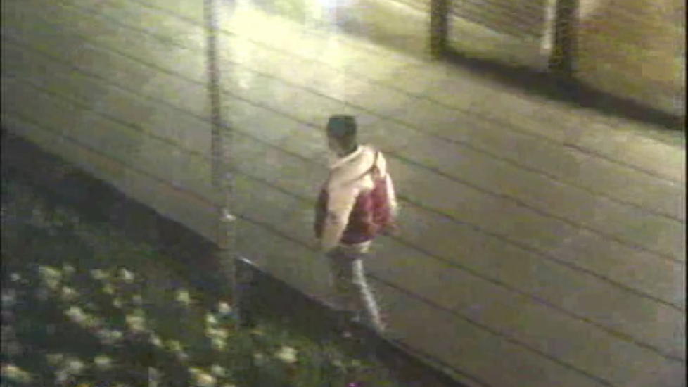 SLO TIL: 20-�ringen er tiltalt for overfallsvoldtektene ved Regjeringskvartalet natt til 29. mai og ved Alexandre Kiellands plass natt til i 3. juni.  Foto: Politiet
