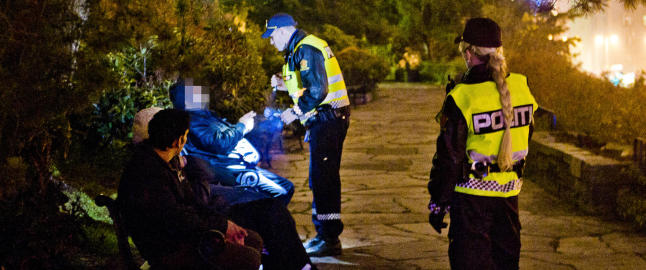 - Fire timer i slottsparken er mistenkelig