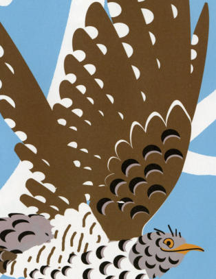 Dette er en av �rets mest spennende bildeb�ker