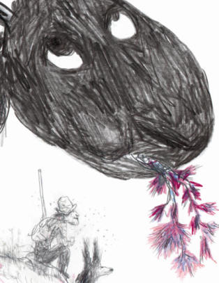 Spenstig duo skaper tvilsom, sort rebell