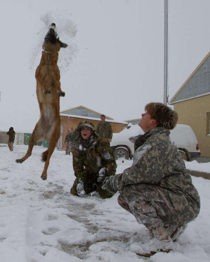 G�Y MED SN�: Ogs� de firbente soldatene n�t litt lek i sn�en. Foto: PRT-Meymaneh