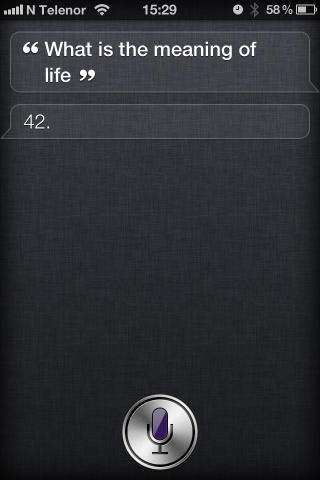 EKSISTENSIELL: Litt ferdigprogrammert nerding skal gi Siri sjarm.