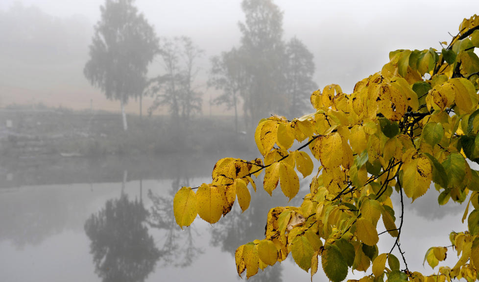 H�ST: Gode viner i novemberslippet inspirerer til � trekke innend�rs og nyte god mat og drikke. Foto: JOHN T. PEDERSEN