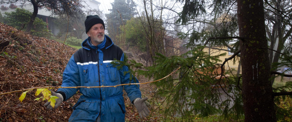 Tre �r, fem rettssaker og 300 000 kroner ... men treet st�r der fortsatt