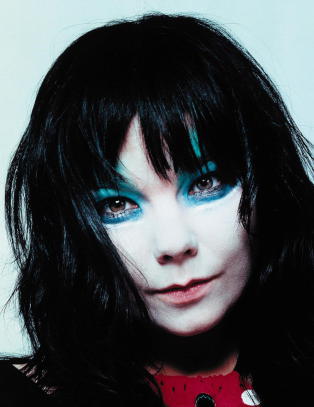 Bj�rk har ingenting � frykte fra denne boka