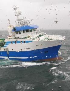 Knepet i ulovlig fiskedumping