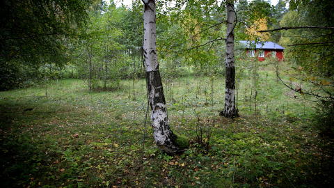 Her ble han p�grepet: Anders Behring Breivik ble p�grepet 45-50 meter unna skolestua p� Ut�ya, der 47 ungdommer holdt seg skjult.   Foto: Jacques Hvistendahl
